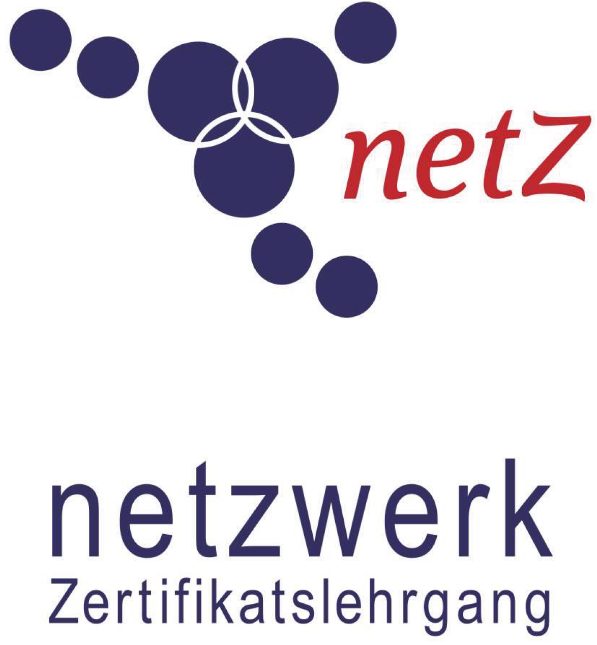 Logo - netZ
